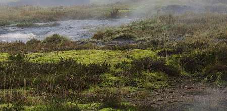 Signer un contrat d’énergie renouvelable thermique sur le territoire